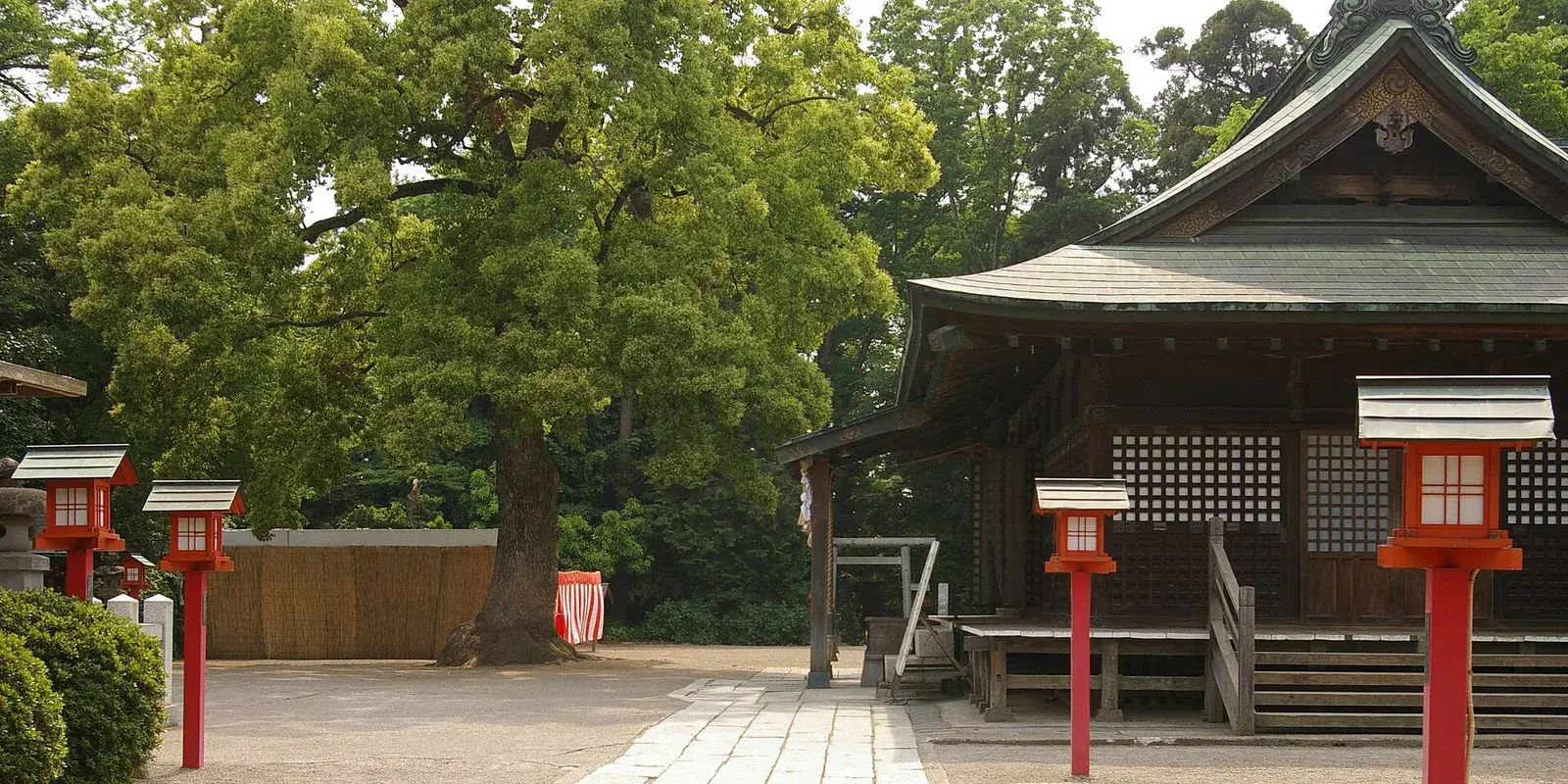 The worship hall of Washinomiya Shrine in Saitama, with red lanterns lining the stone approach beneath a large sacred tree