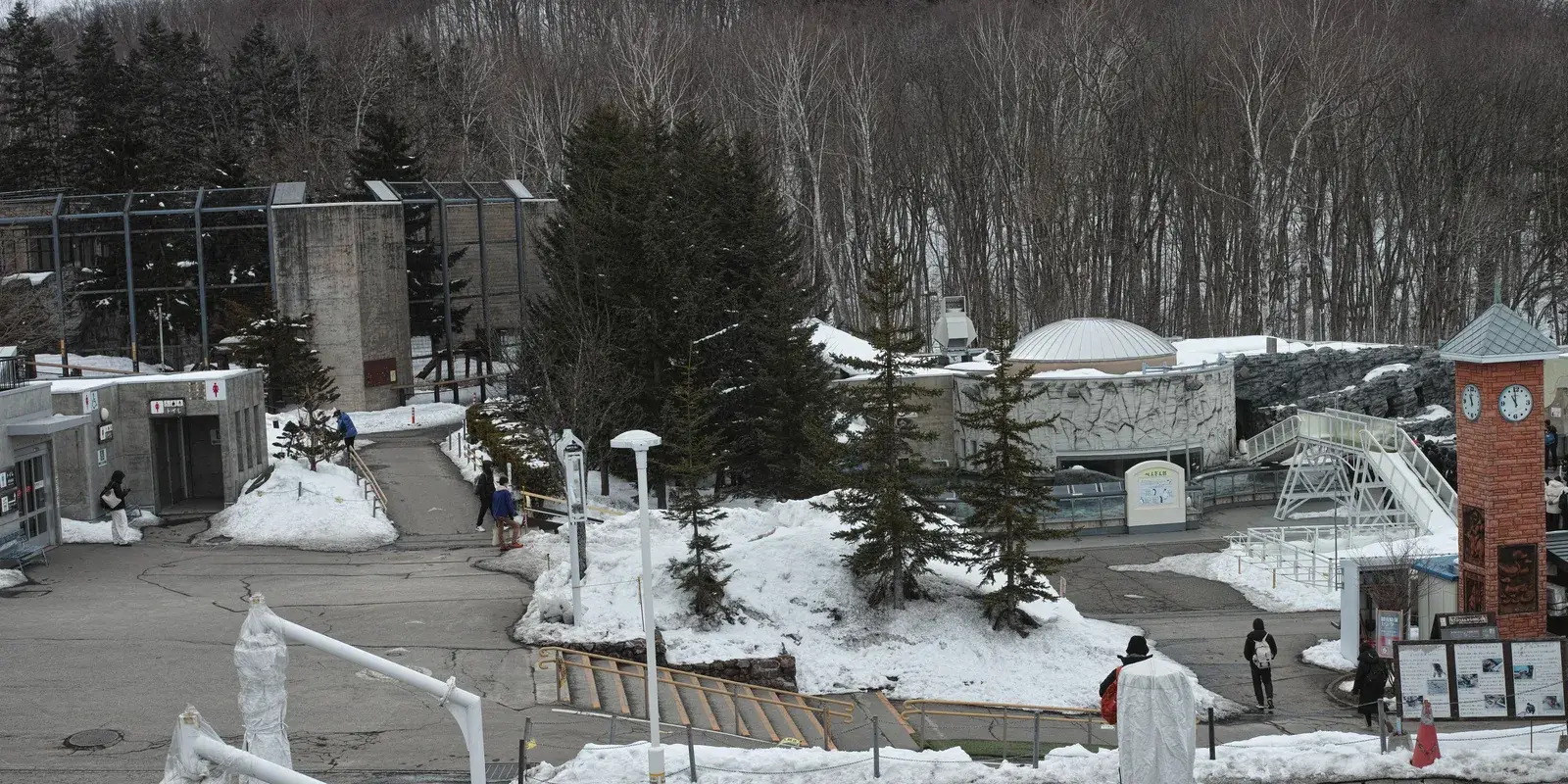 Snow-covered hillside grounds of Asahiyama Zoo, seen from above, with the domed seal house and clock tower among bare winter trees
