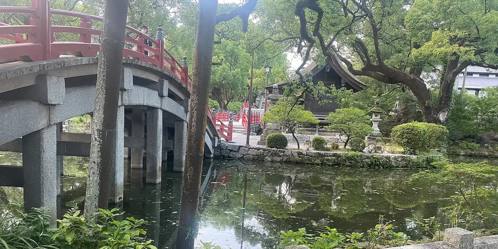 The vermilion arched drum bridges of Dazaifu Tenmangu crossing the pond in the shrine's wooded grounds, Fukuoka