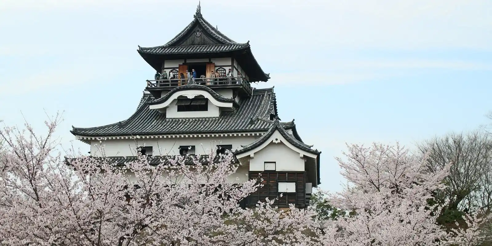 Is Inuyama Castle Worth It? The Small Keep That Keeps Winning the "Which Castle" Argument