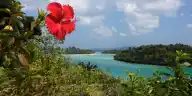 Is Ishigaki Worth It? What International Visitors and Japanese Visitors Both Found