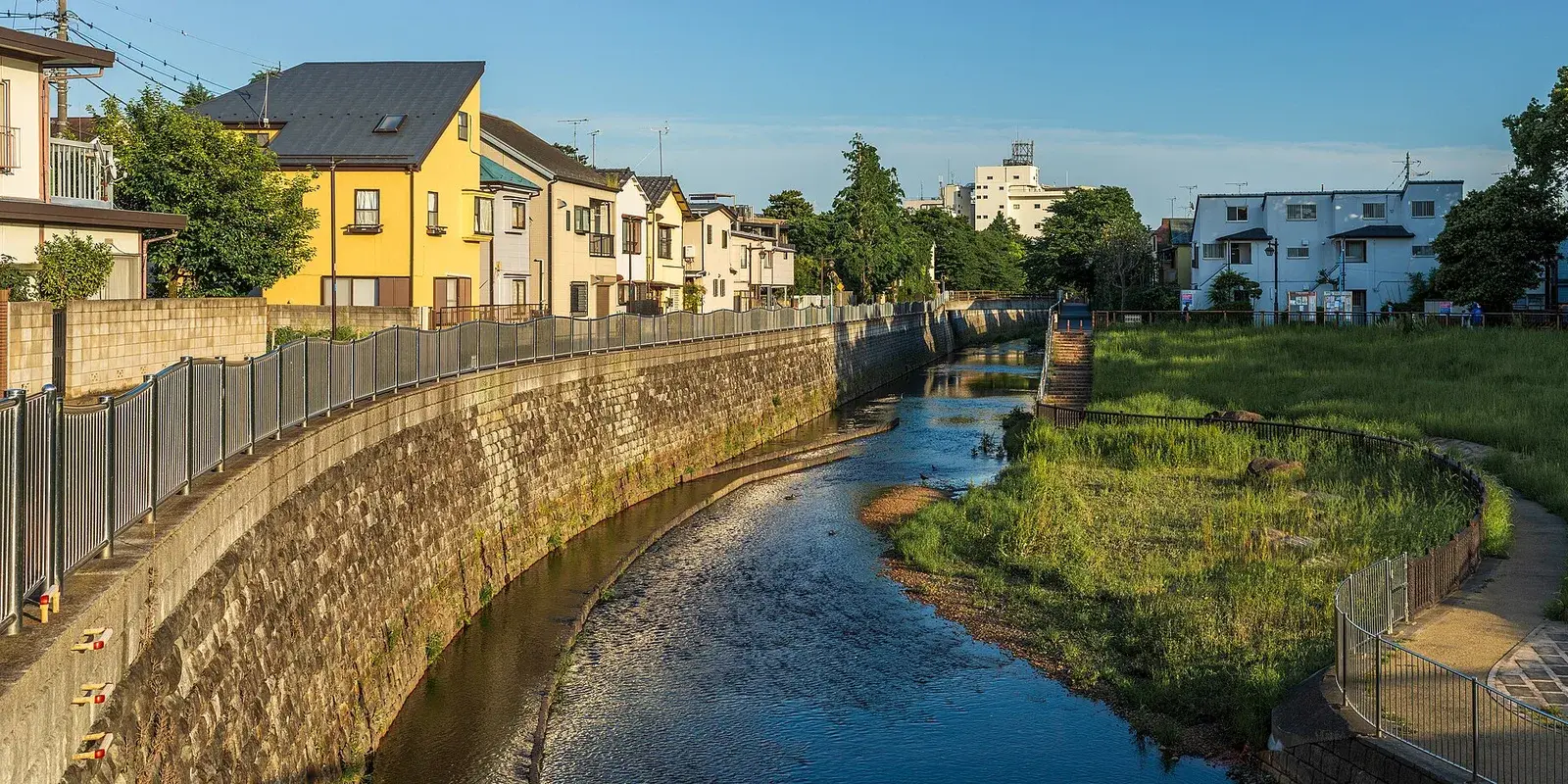 A quiet, sunny residential neighborhood along the Zenpukuji River in Suginami, Tokyo, with low houses lining a calm waterway