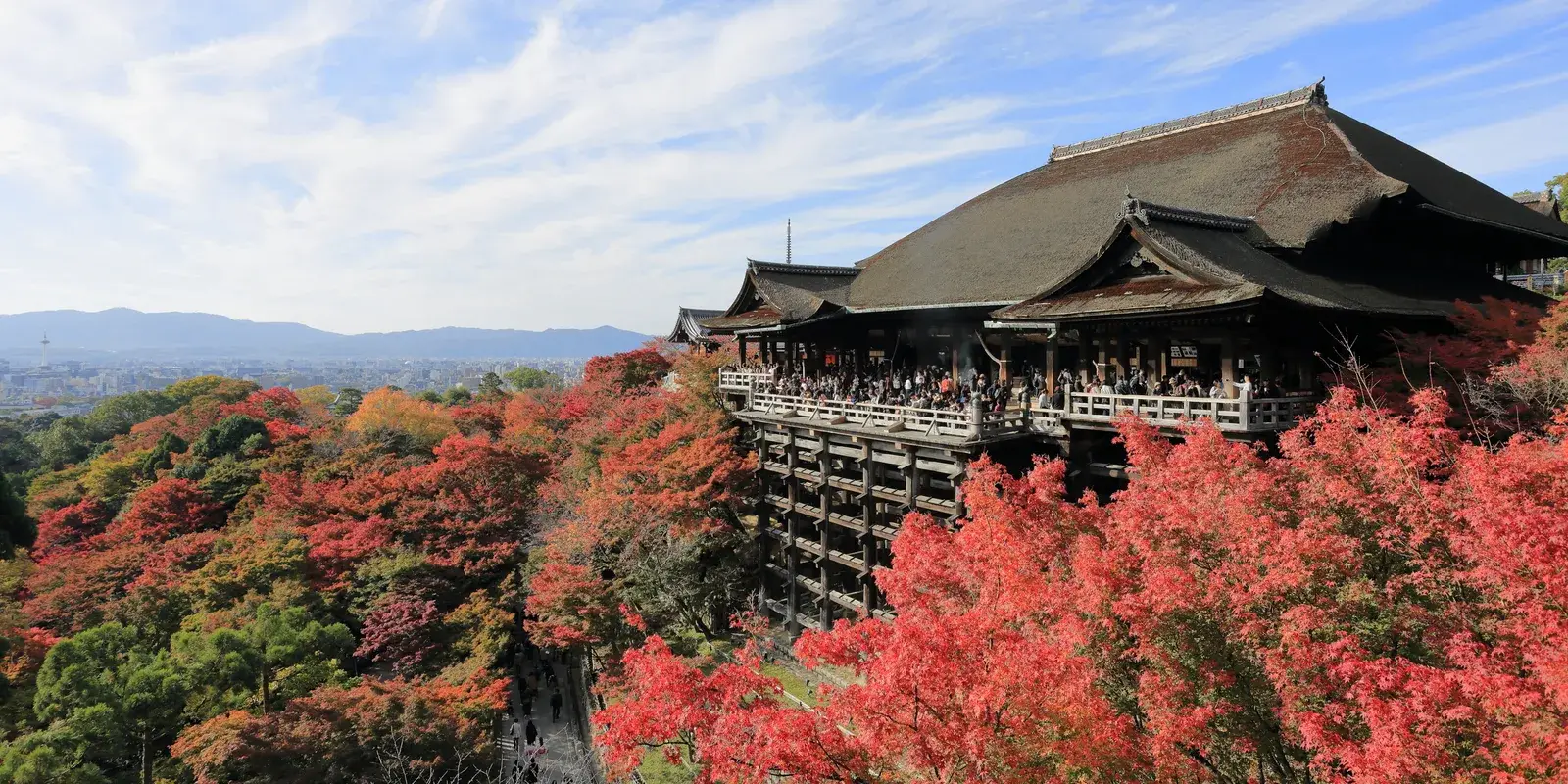 The wooden stage of Kiyomizu-dera rising above a hillside of autumn maples, with Kyoto spread out in the distance