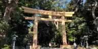 Is Meiji Jingu Worth It? What Travelers, and Tokyoites, Actually Say About the Forest Shrine