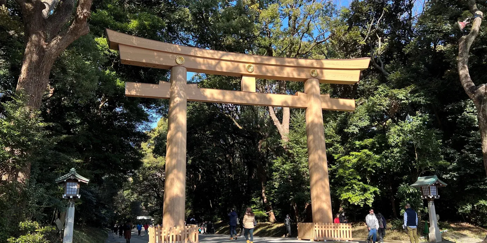 The great cypress torii of Meiji Jingu rising over the gravel forest approach, framed by the planted forest