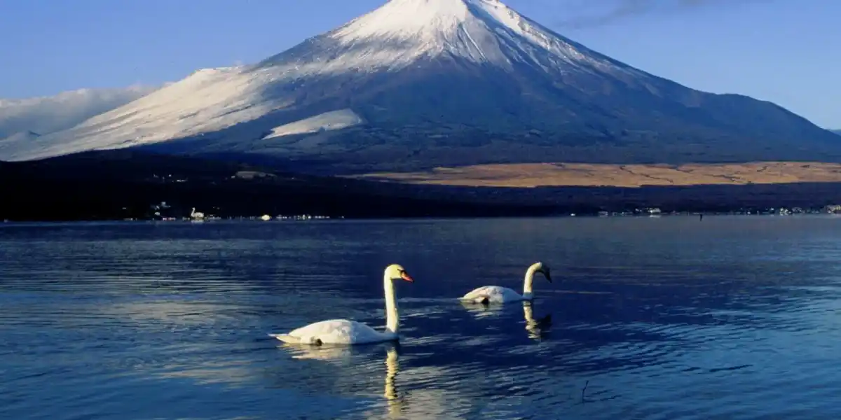 Vale la pena vedere il Monte Fuji? La risposta sincera riguarda la mattina che scegli — non la montagna