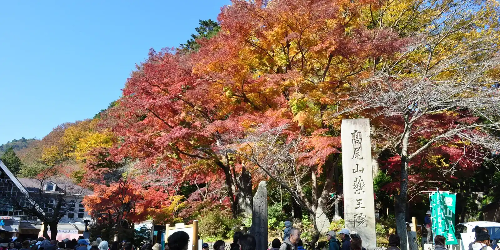Is Mount Takao Worth It? Locals Never Doubted It. Visitors Split on What They Expected to Climb