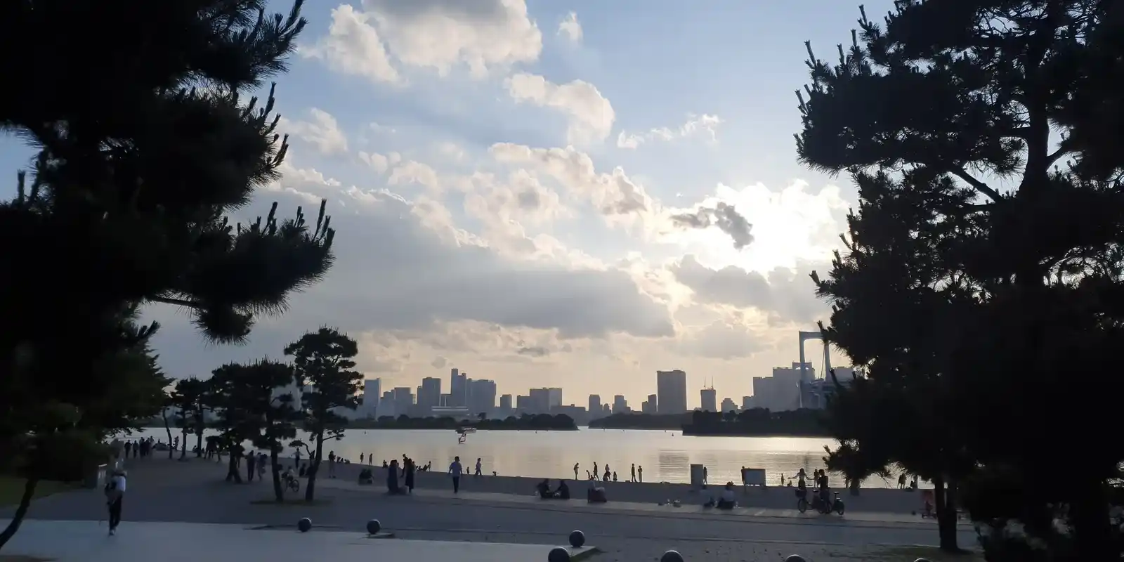 Is Odaiba Worth It? What 169 Real Visitors Say