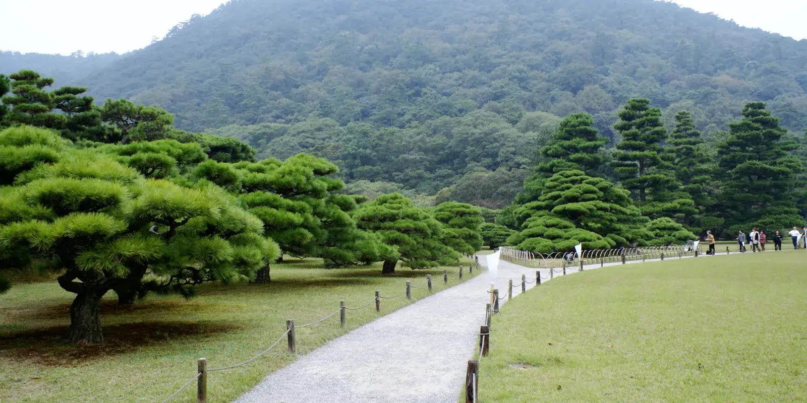 A gravel path curving between hand-pruned pines toward the wooded slope of Mt. Shiun in Ritsurin Garden, Takamatsu