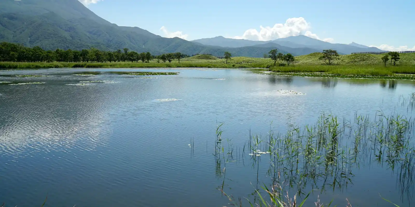 Is Shiretoko Worth It? What International Visitors and Japanese Visitors Both Found