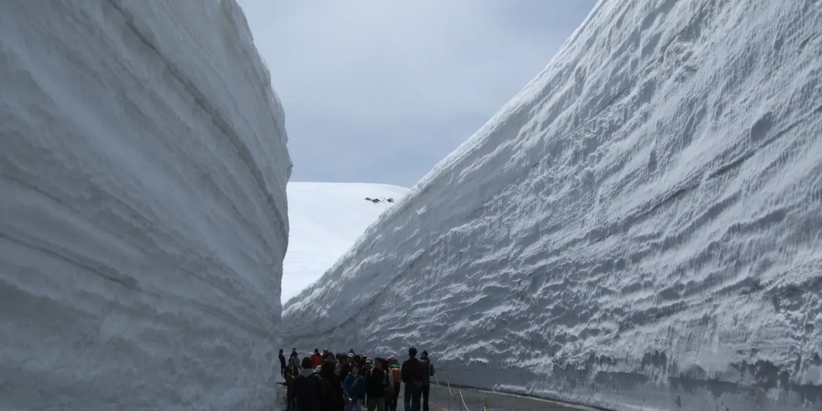 Tourists walking a narrow road cut between towering walls of the Yuki no Otani snow corridor on the Tateyama Kurobe Alpine Route