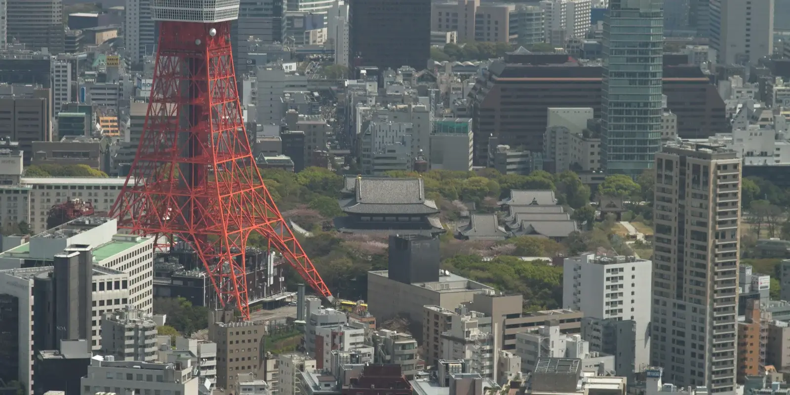 Tokyo Tower's red steel lattice rising above Zojo-ji temple's wooden roofs, surrounded by the dense high-rises of central Tokyo