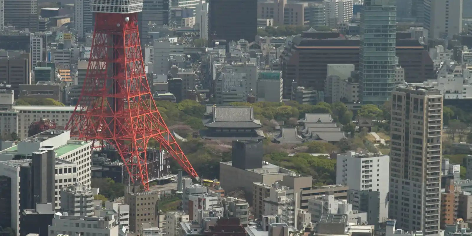 Is Tokyo Tower Worth It? What Skytree Couldn't Take From It