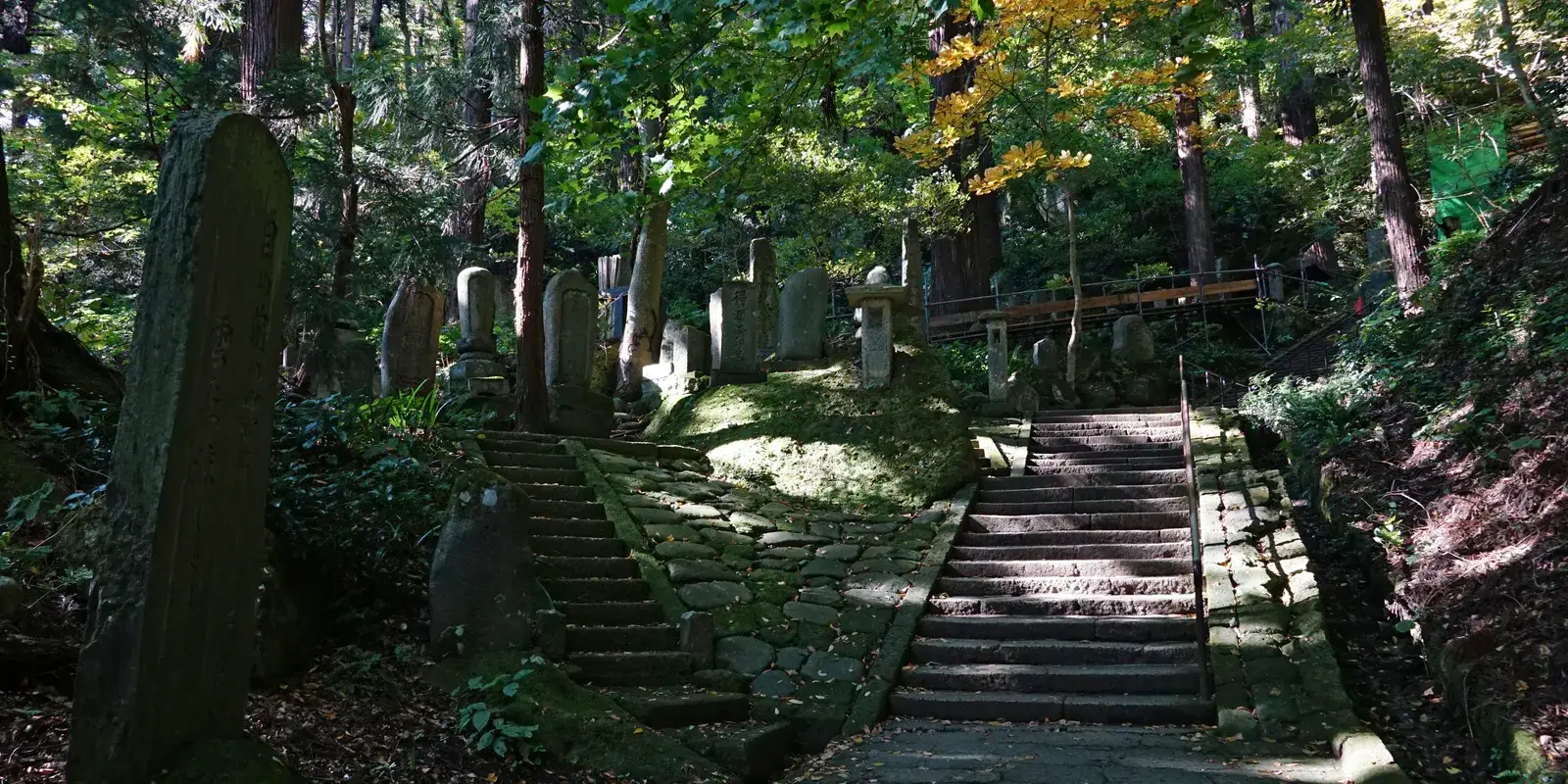 Stone steps climbing through a cedar forest at the start of the Yamadera pilgrimage route, with early autumn color in the leaves
