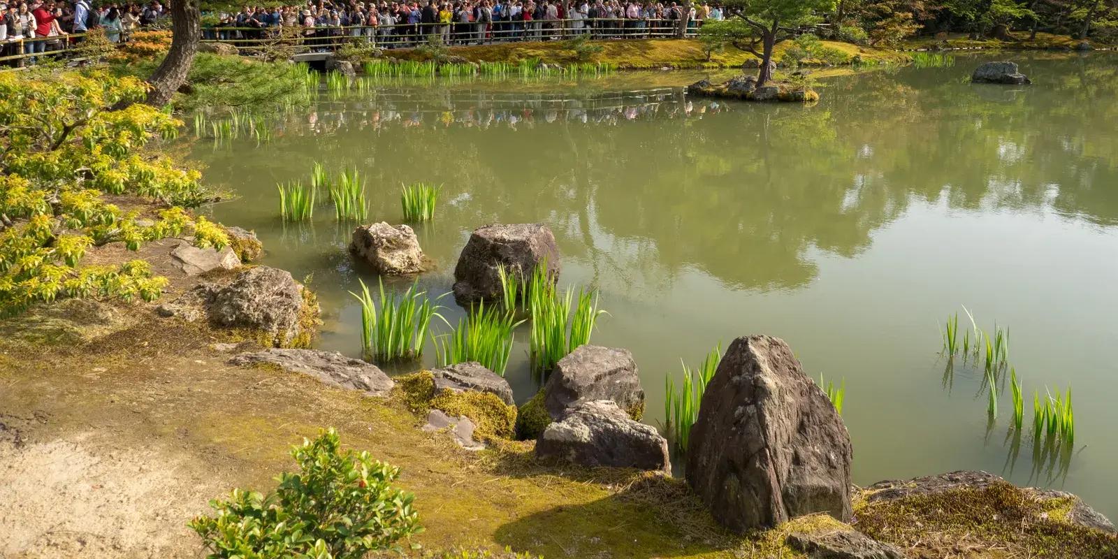 Visitors gather at the famous viewpoint across the pond at Kinkaku-ji garden in Kyoto, a popular photo spot