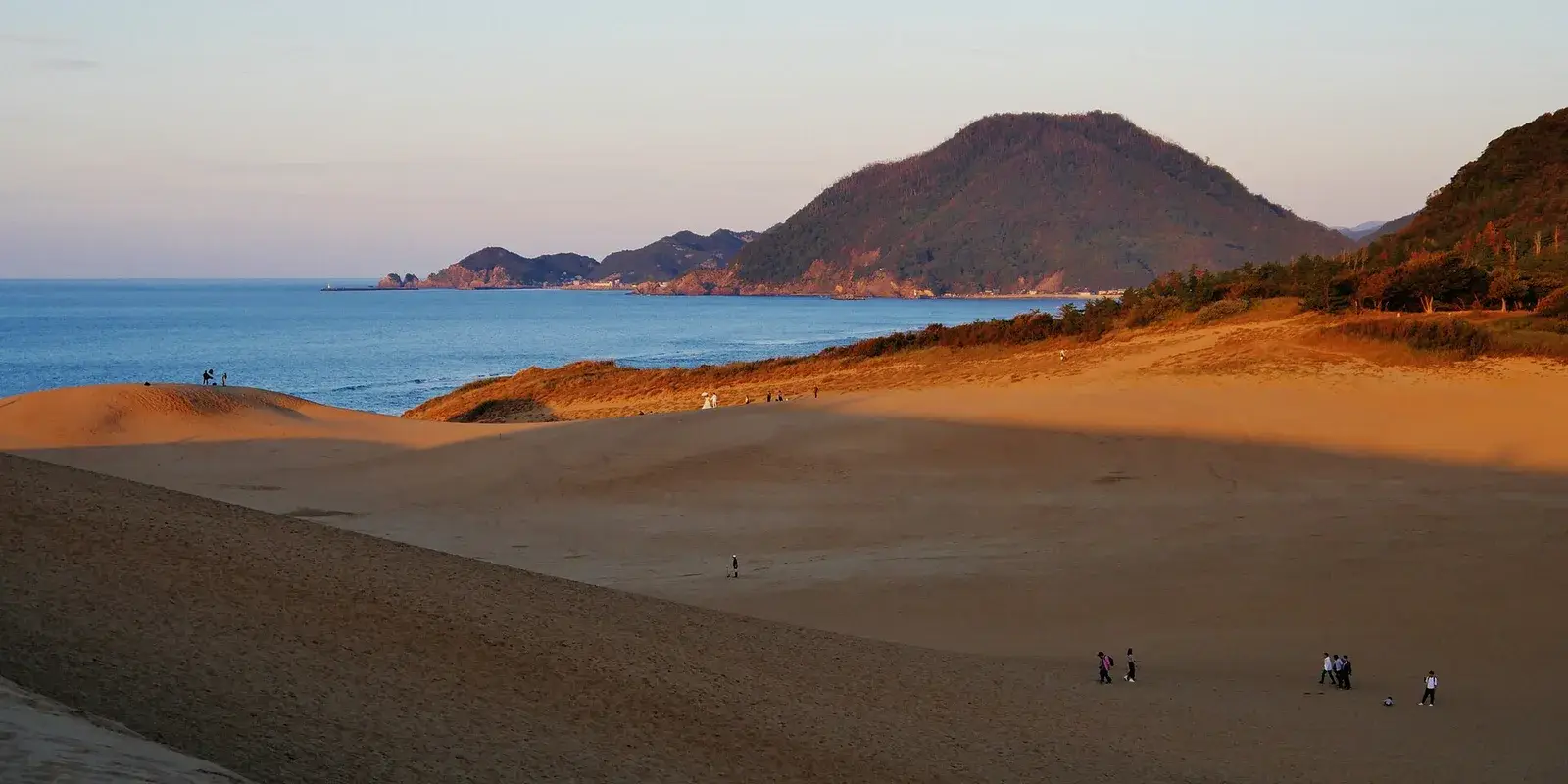 Golden-hour light over the Tottori Sand Dunes meeting the Sea of Japan, with a forested coastal mountain in the distance