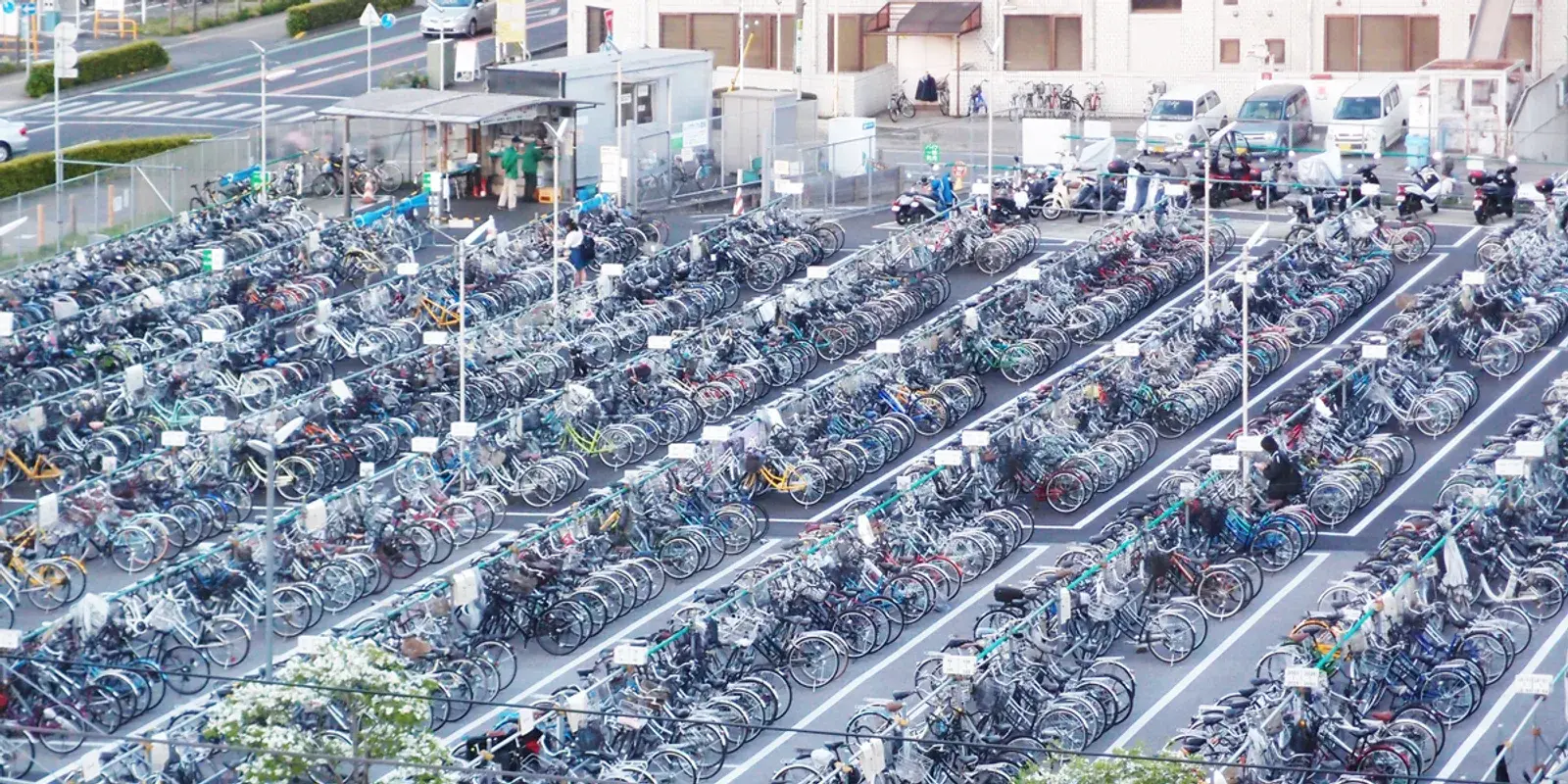 Rows of neatly parked bicycles filling an organized public parking lot near Utsunomiya Station, Tochigi, Japan