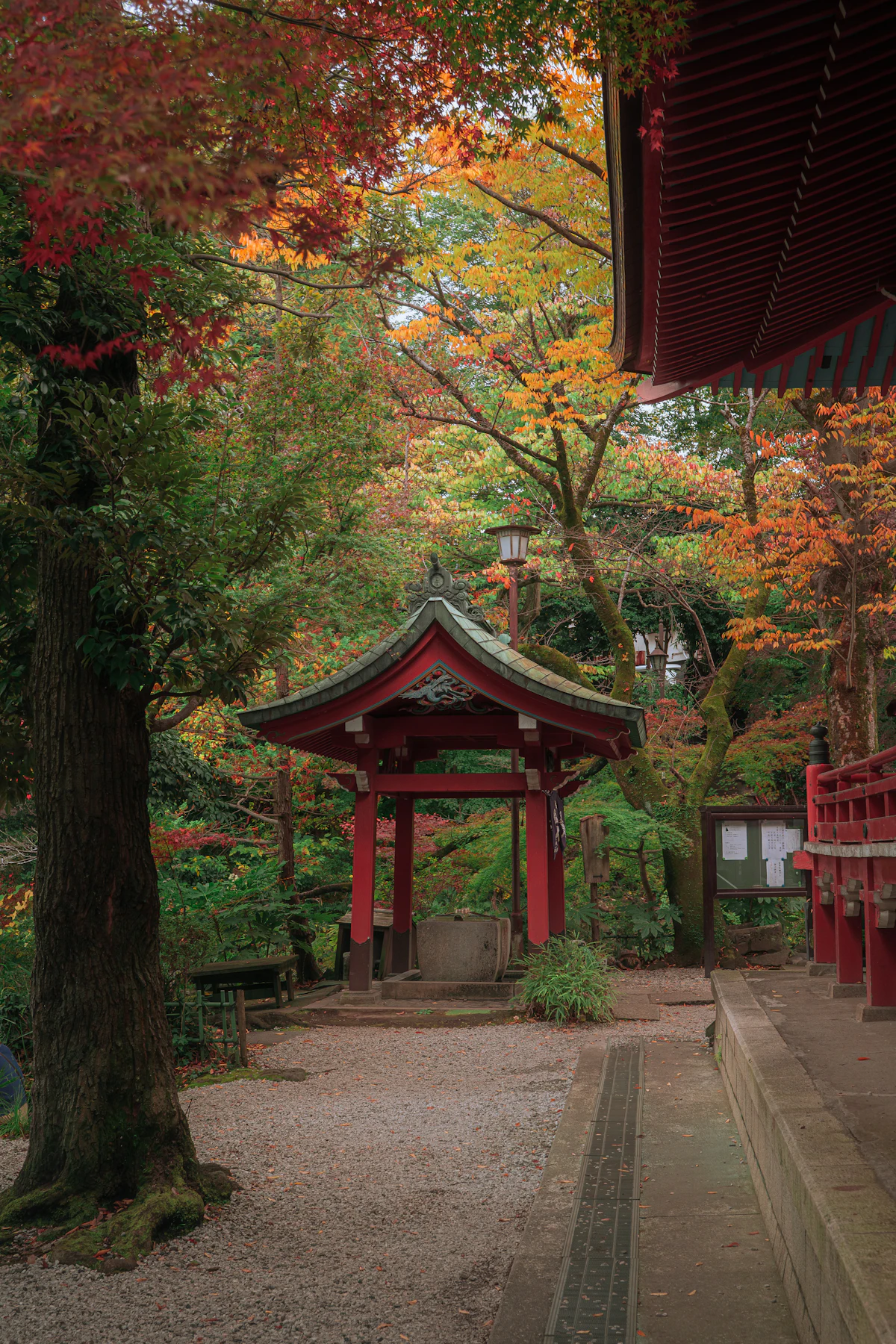 A red temple pavilion surrounded by vivid autumn foliage in Japan