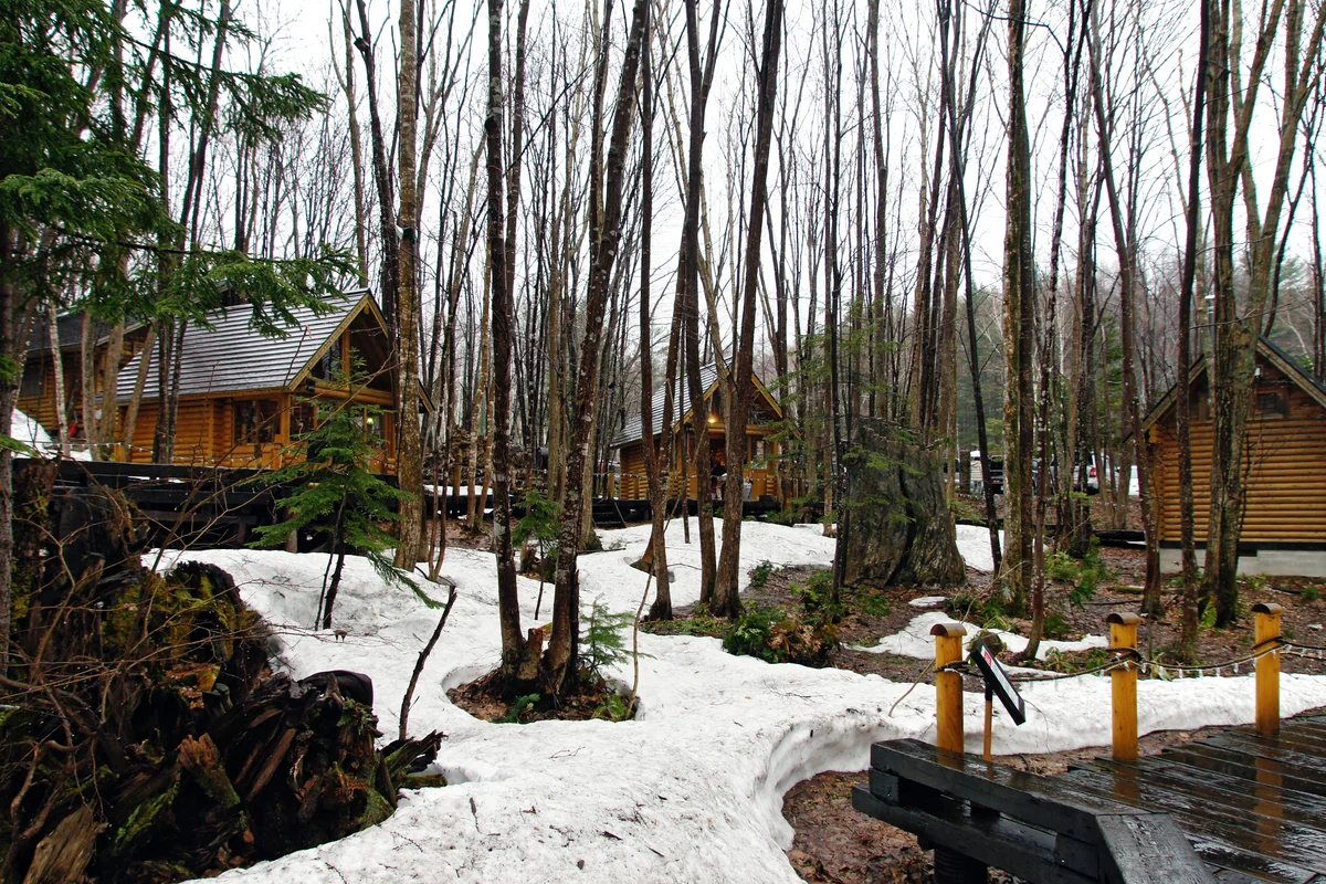 Casette di tronchi tra alti alberi spogli a Ningle Terrace, con chiazze di neve che si scioglie sul terreno, una passerella di legno con il corrimano in primo piano e una luce accesa in una delle casette
