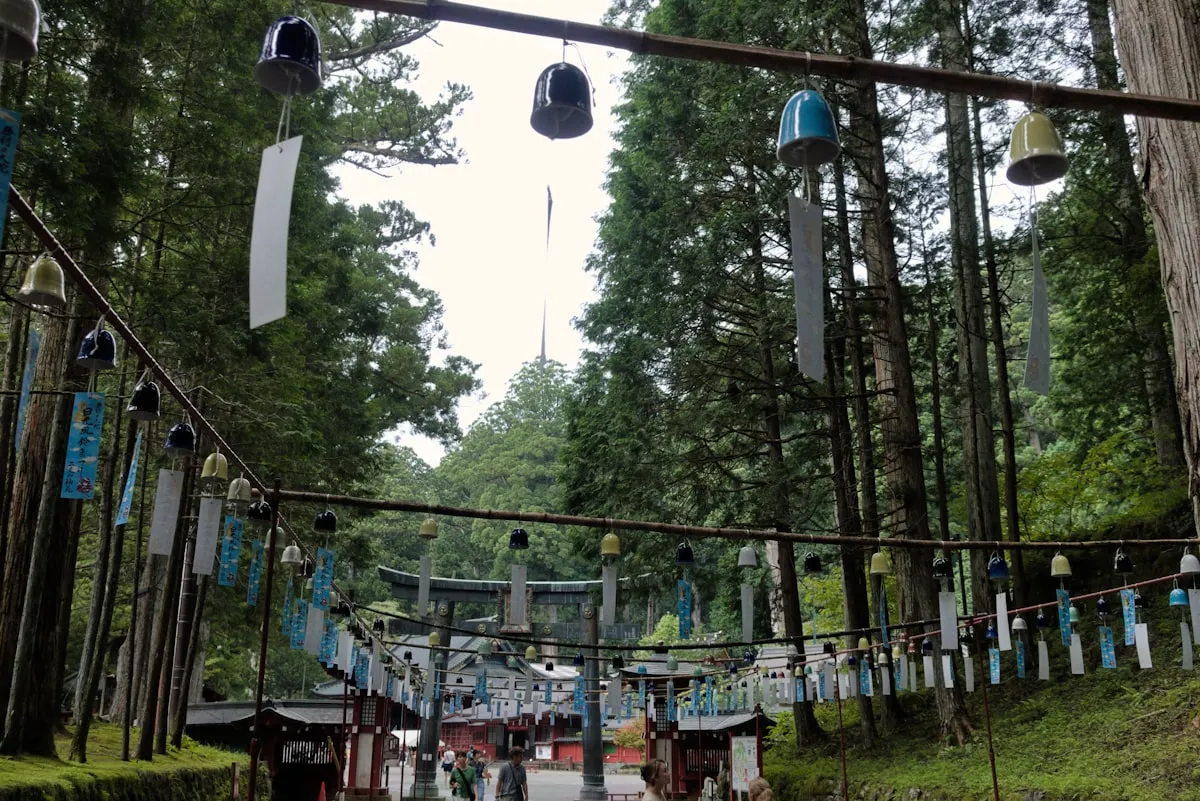 Colorful glass wind chimes hanging along a tree-lined path leading to a shrine in a Japanese forest