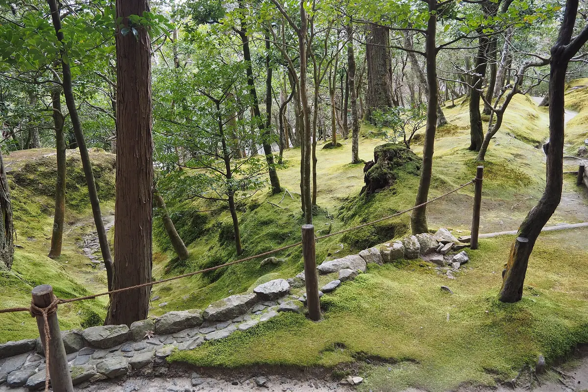 Thick moss covering a wooded slope at Ginkaku-ji, with a rope fence running along a stone-edged path