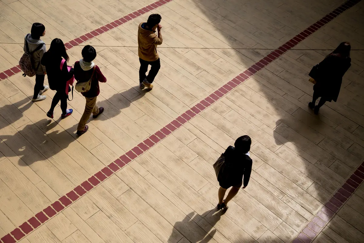 People walking across a sunlit paved plaza in Tokyo, seen from above, each alone or in a small group, with long shadows stretching behind them