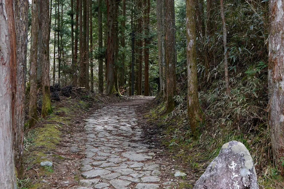 A cobbled path climbing through tall cedars between the two post towns, with a weathered stone marker at the roadside