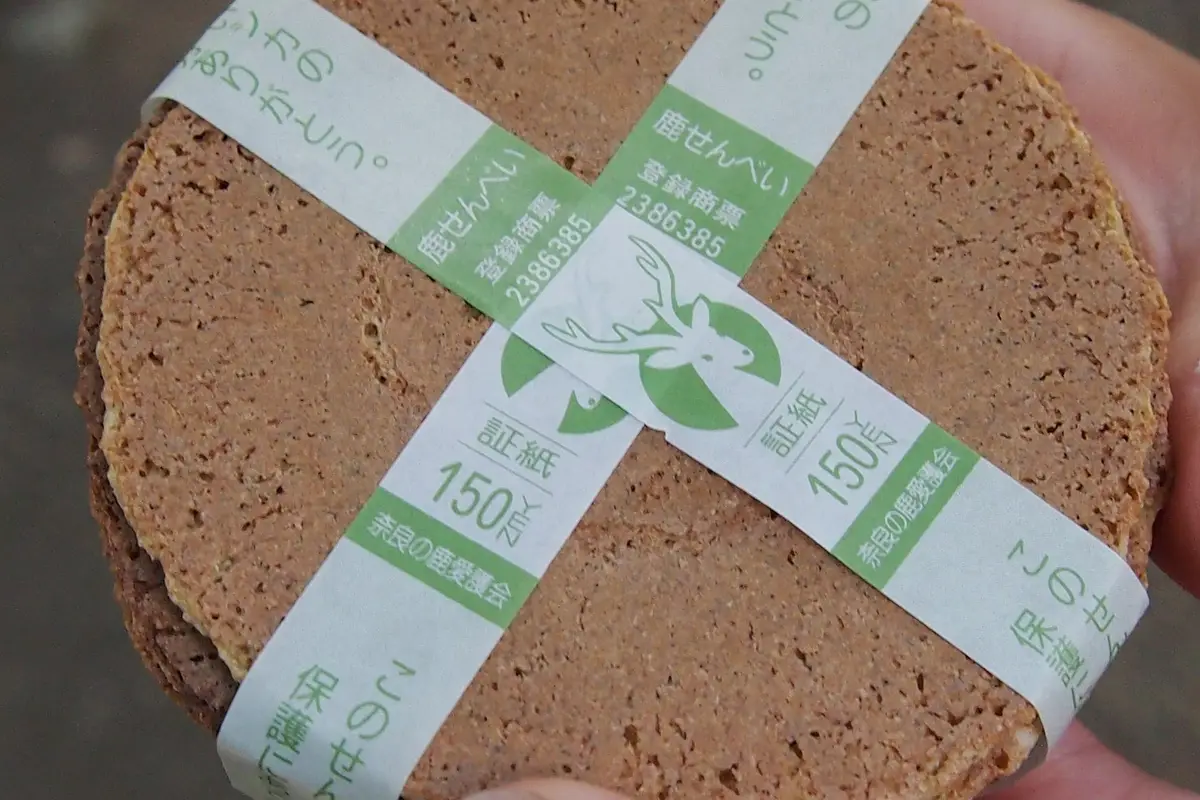 Nahaufnahme eines mit Papierbanderole gebündelten Stapels Shika-Senbei auf einer offenen Hand