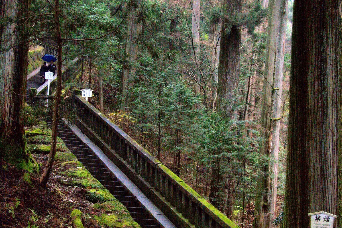 A long flight of stone steps climbing steeply between tall cedars toward the shogun's tomb at Nikko