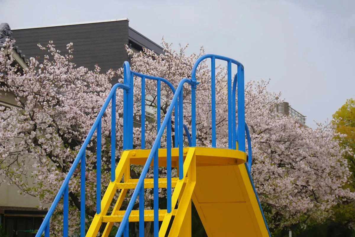 A colorful yellow and blue playground slide framed by cherry blossom trees in a Japanese neighborhood