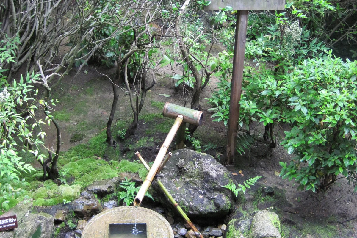 竹管引来的水注入石制蹲踞，长着青苔的石头周围是苔藓和低矮的植物