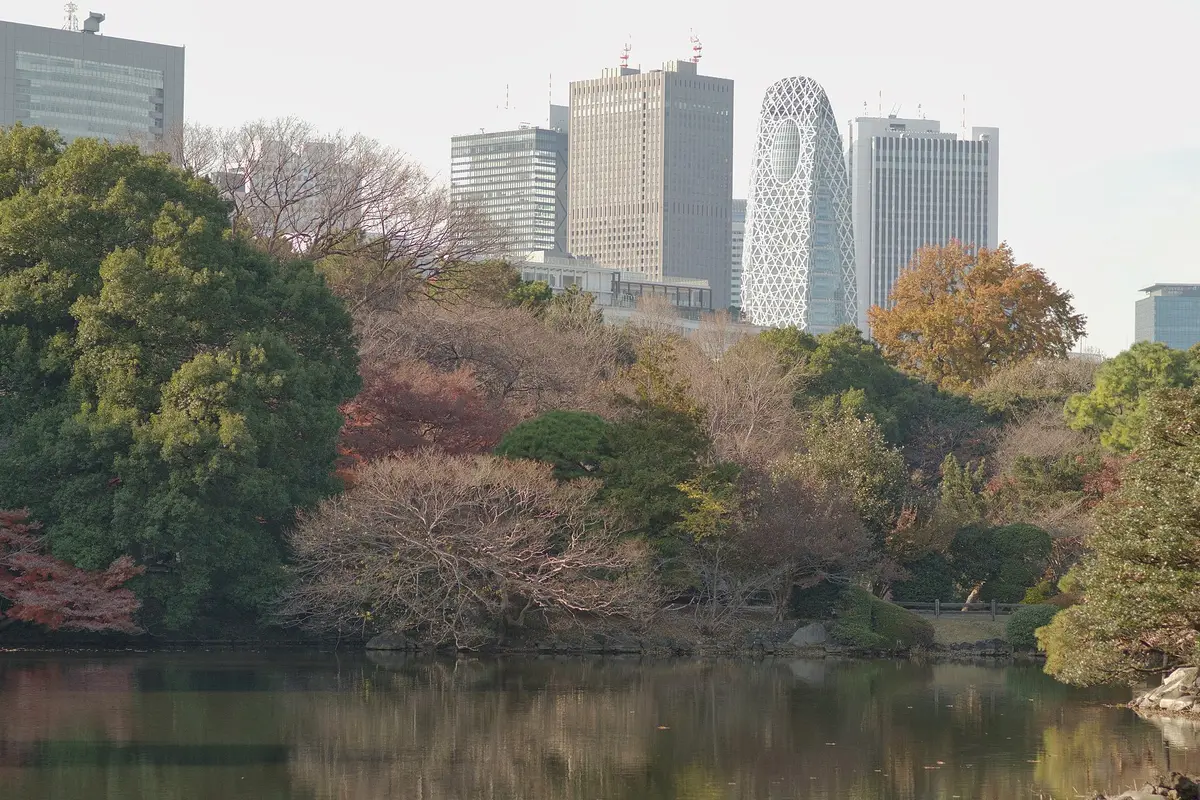 Über den Teich im Shinjuku Gyoen gesehen: Herbstbäume, dahinter die Hochhäuser von Shinjuku
