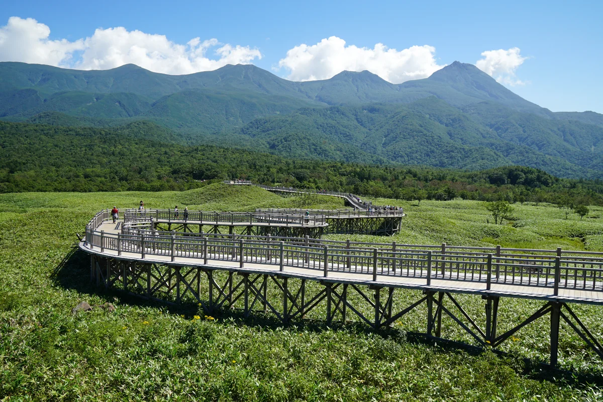 The elevated wooden boardwalk at Shiretoko Five Lakes winding through the grassland toward the Shiretoko mountain range
