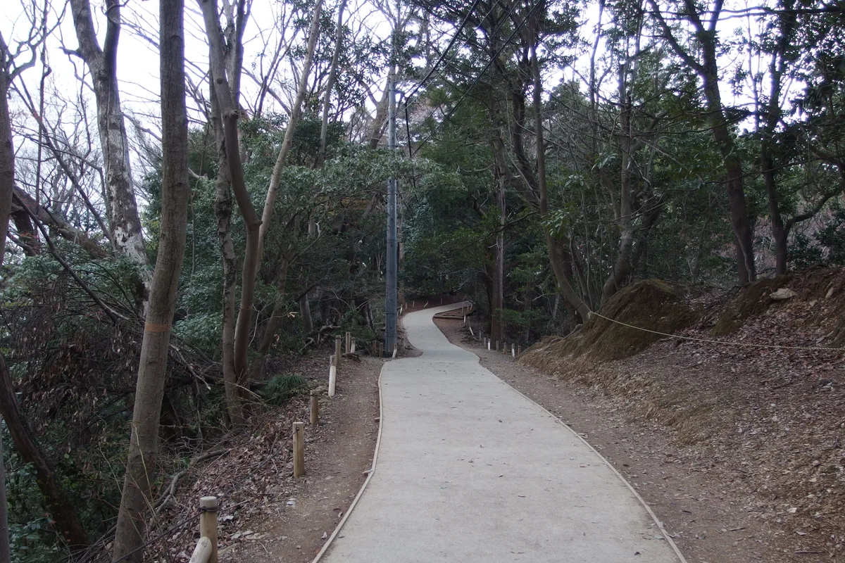 Ein leerer, vollständig asphaltierter Waldweg, der sich zwischen Bäumen bergauf schlängelt, auf dem 1. Weg des Takao-san