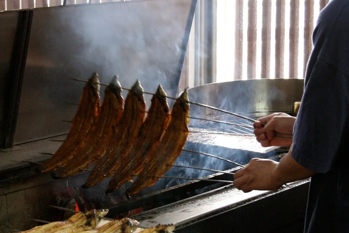 Skewered eel fillets glazed dark brown, grilling over glowing charcoal with smoke rising, and hands holding more skewers
