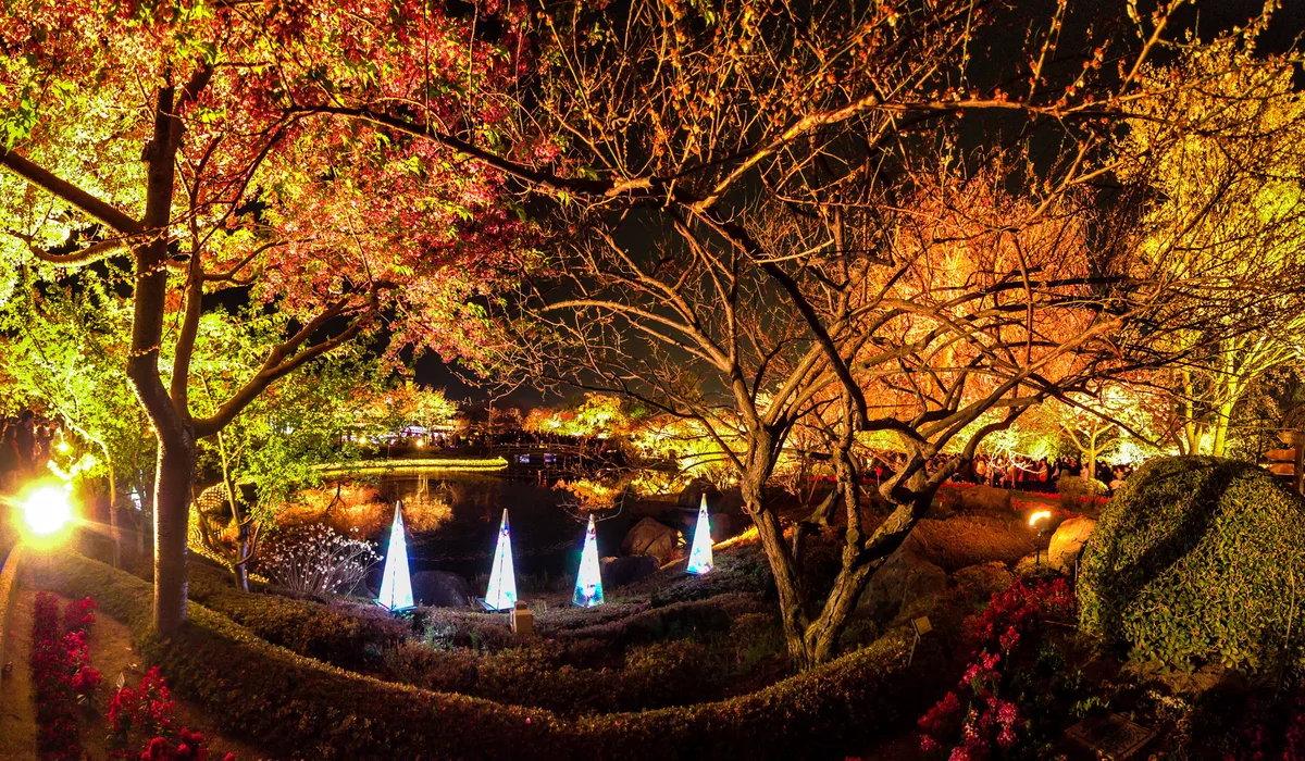 A pond and hillside garden lit in gold and amber at night, with illuminated cone sculptures reflected in the water