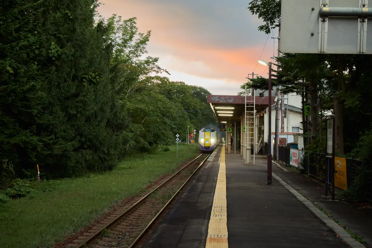 A quiet local railway platform at dusk, with a single train approaching along the track beside a line of dark trees