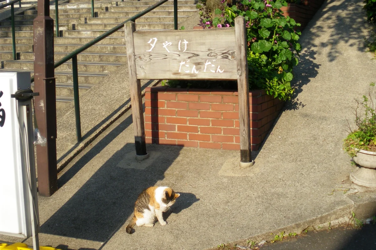 A wooden sign reading Yuyake Dandan at the foot of the staircase, with a calico cat resting on the pavement in front of it