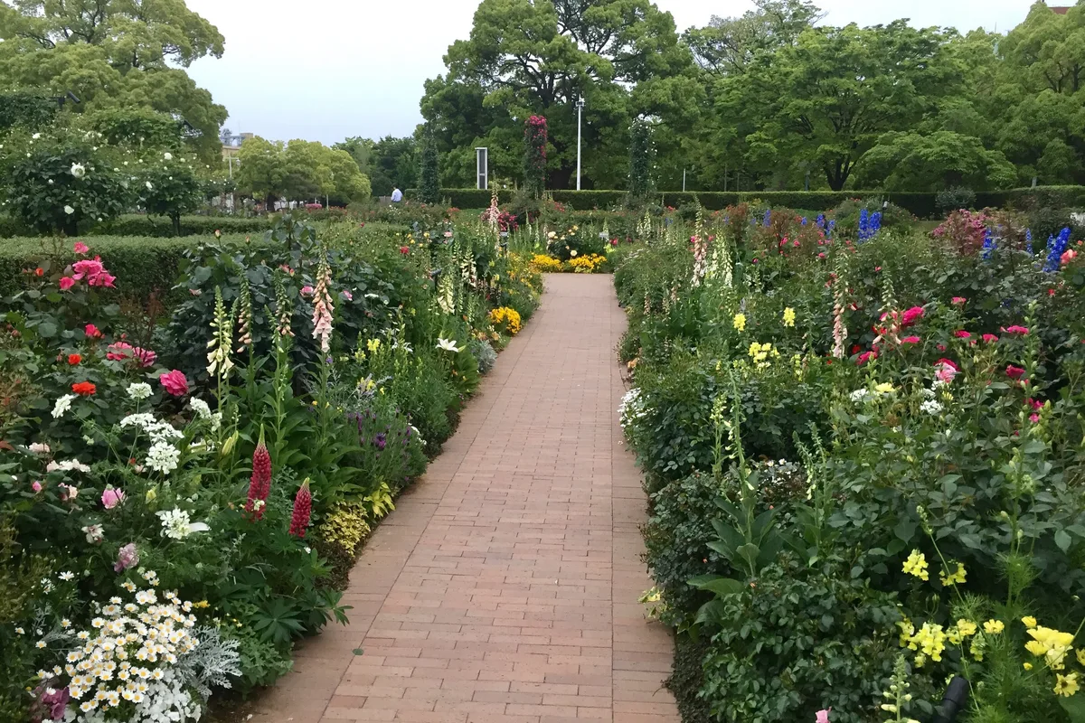 A brick path through a rose and flower garden at Yamashita Park, hedges and trees lining both sides