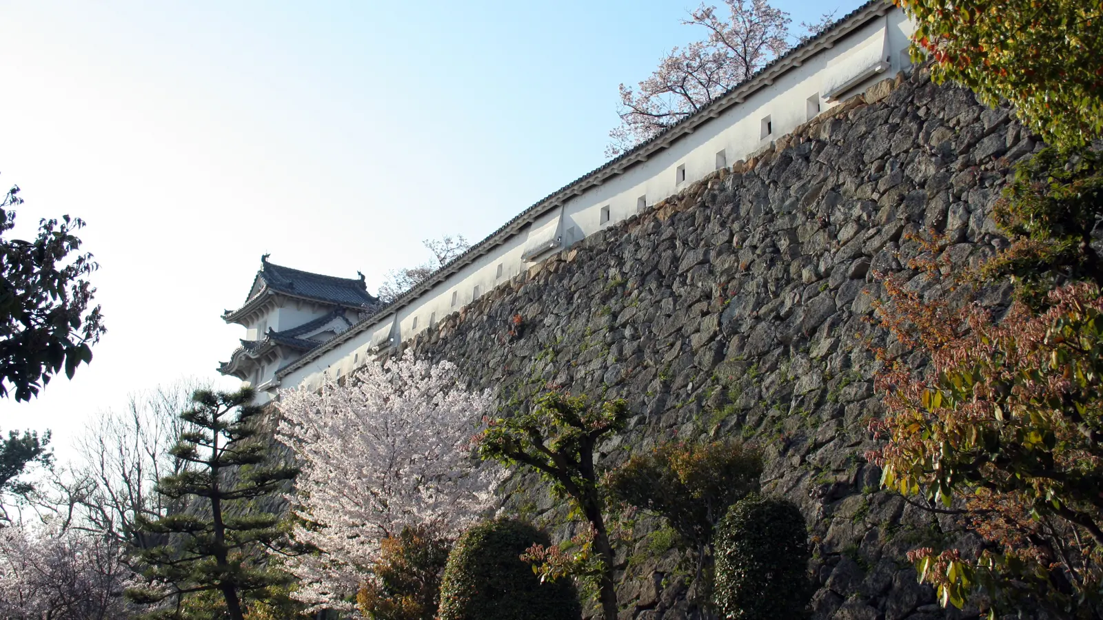 The steeply rising stone walls of Himeji Castle, built to be impossible to climb, topped by a white turret