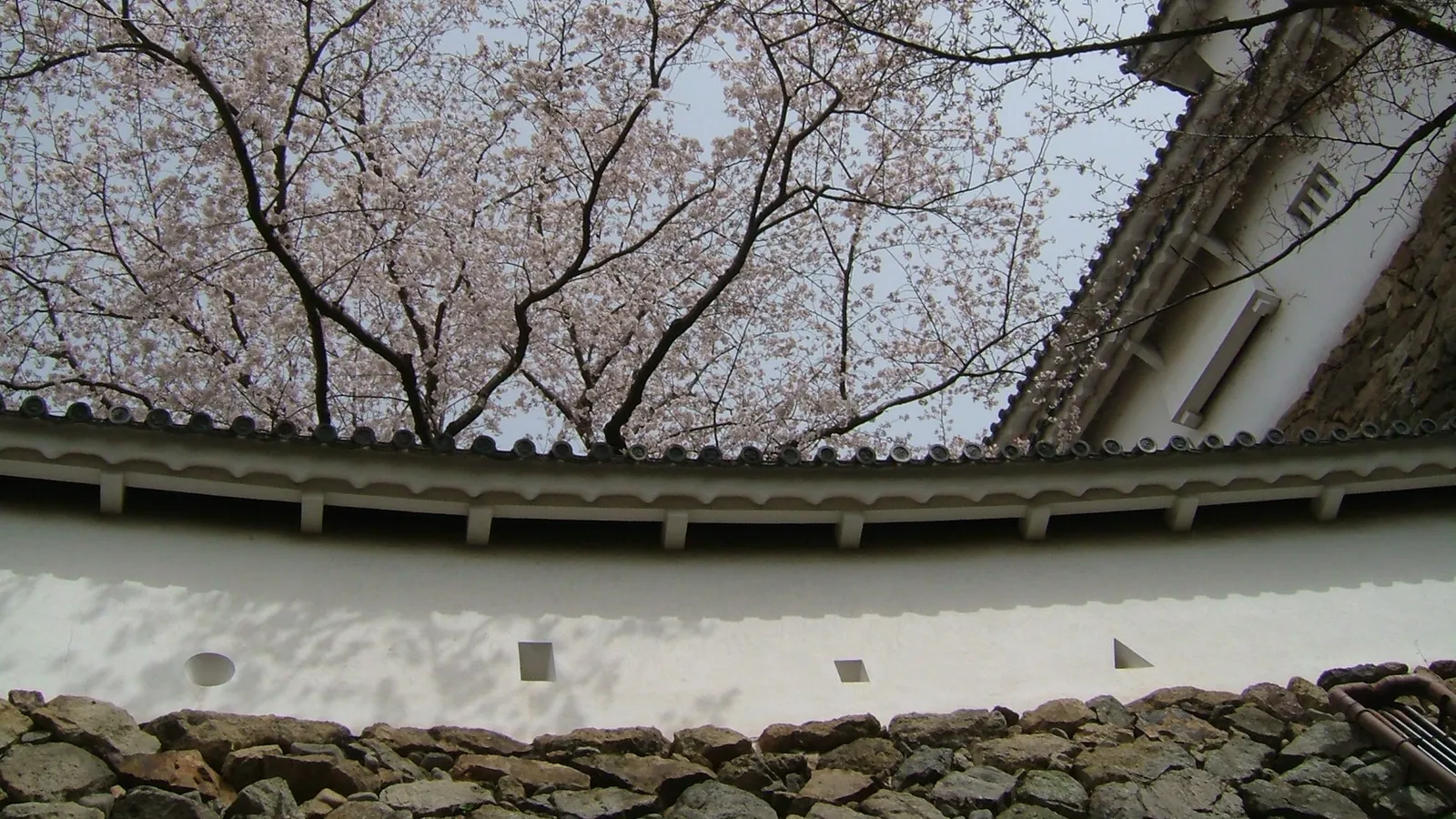 A white plastered wall of Himeji Castle pierced with loopholes of different shapes — slits for archers and squares, circles and triangles for gunners
