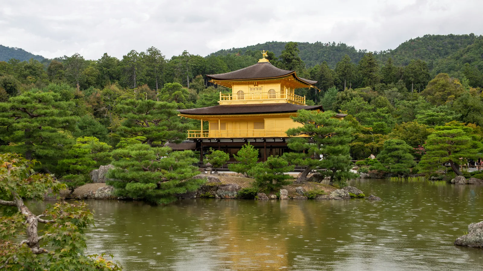 Kinkaku-ji — Why Everyone Stops at the Same Spot to Photograph the Golden Pavilion