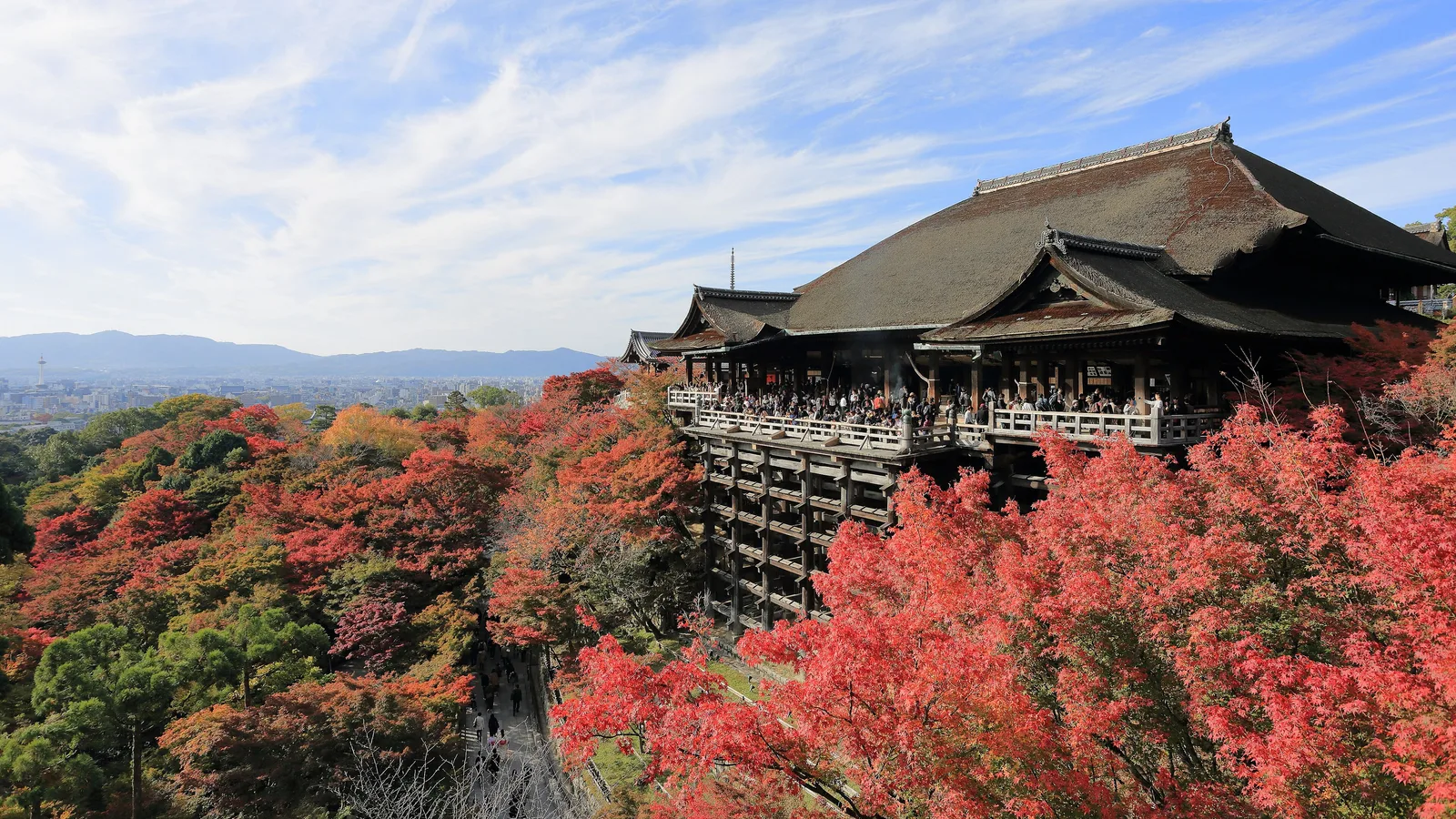 Kiyomizu-dera — Why People Climb a Hill to Stand on a Cliff and Make a Wish