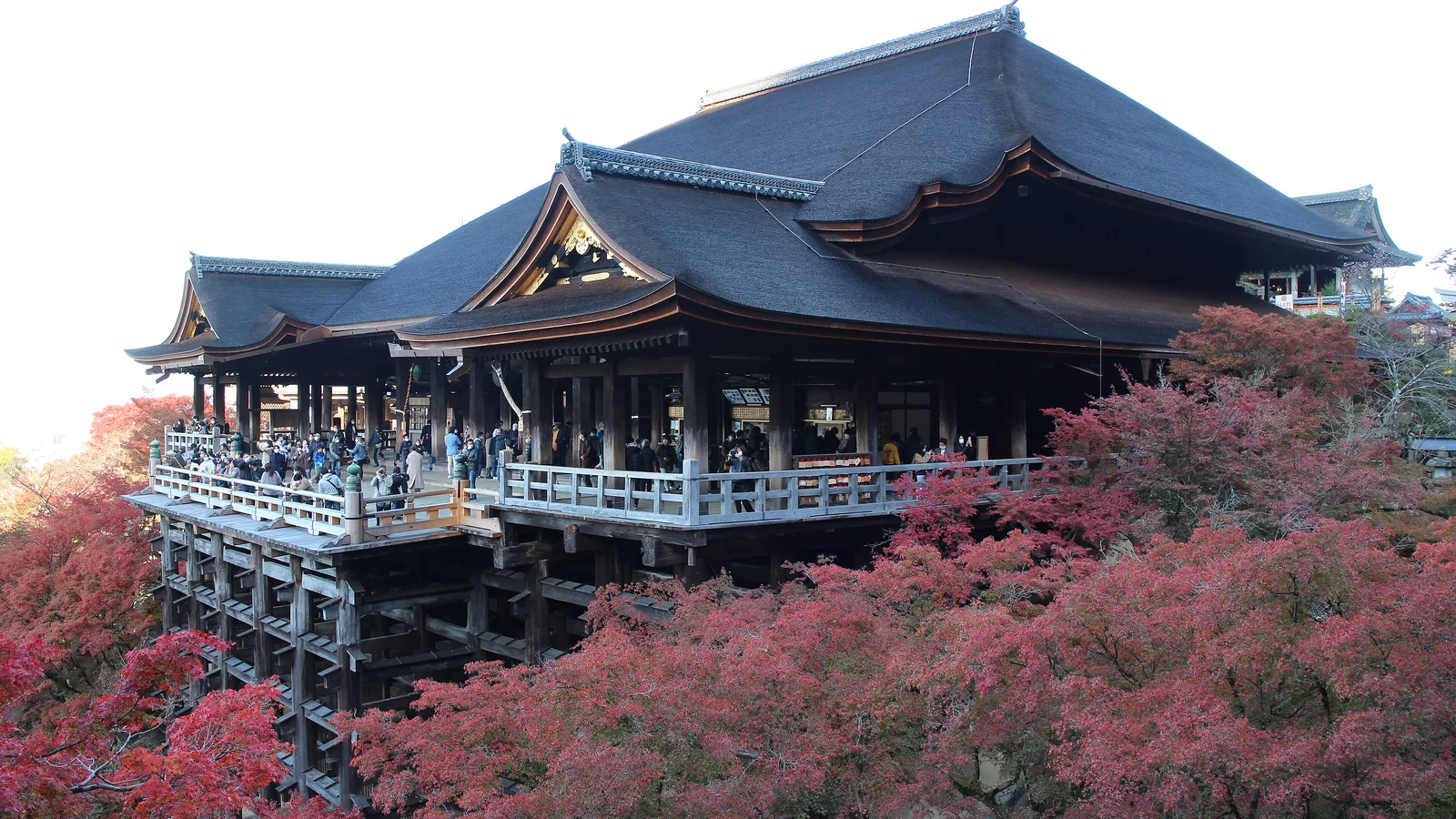 The wooden stage of Kiyomizu-dera, jutting out over the hillside on its lattice of nail-free zelkova pillars