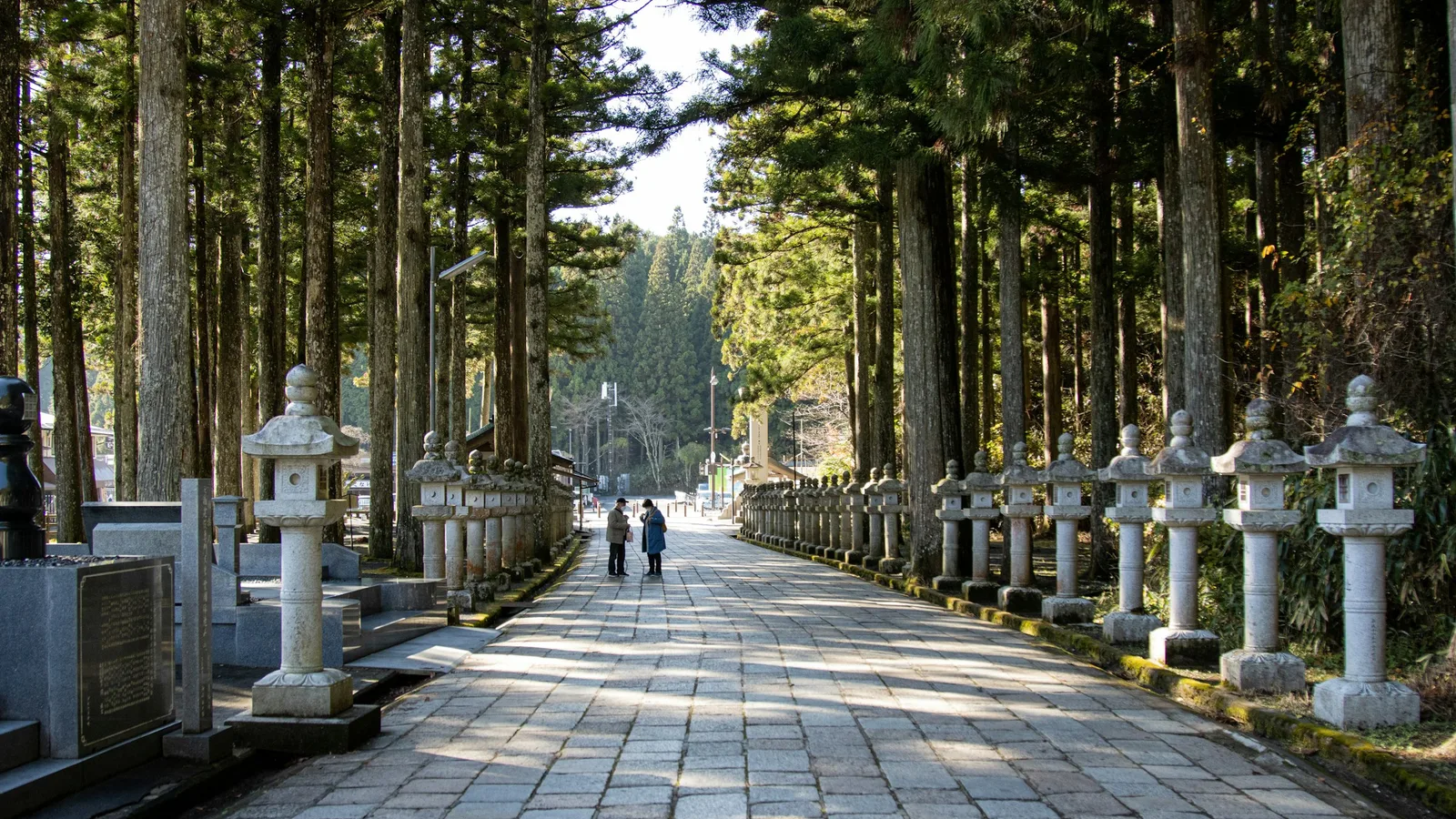 Koyasan — The Mountain Where a Thousand-Year Prayer Has Never Stopped