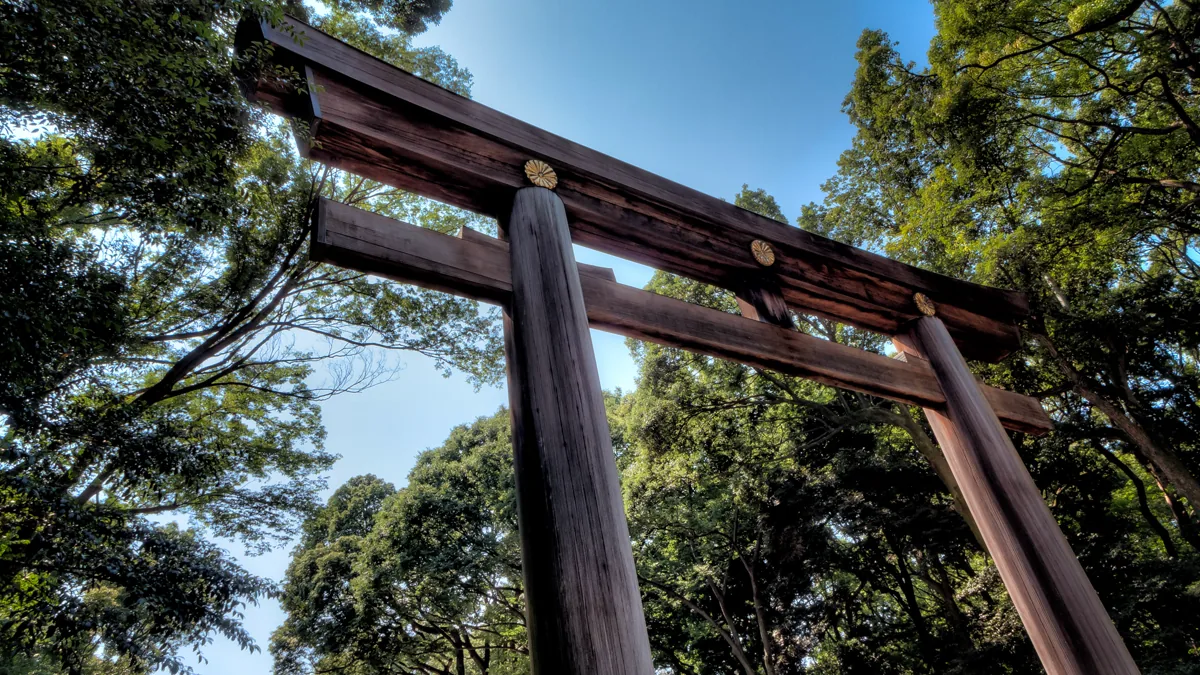 Meiji Jingu — Why 100,000 Trees Were Planted to Make a Forest That Tends Itself