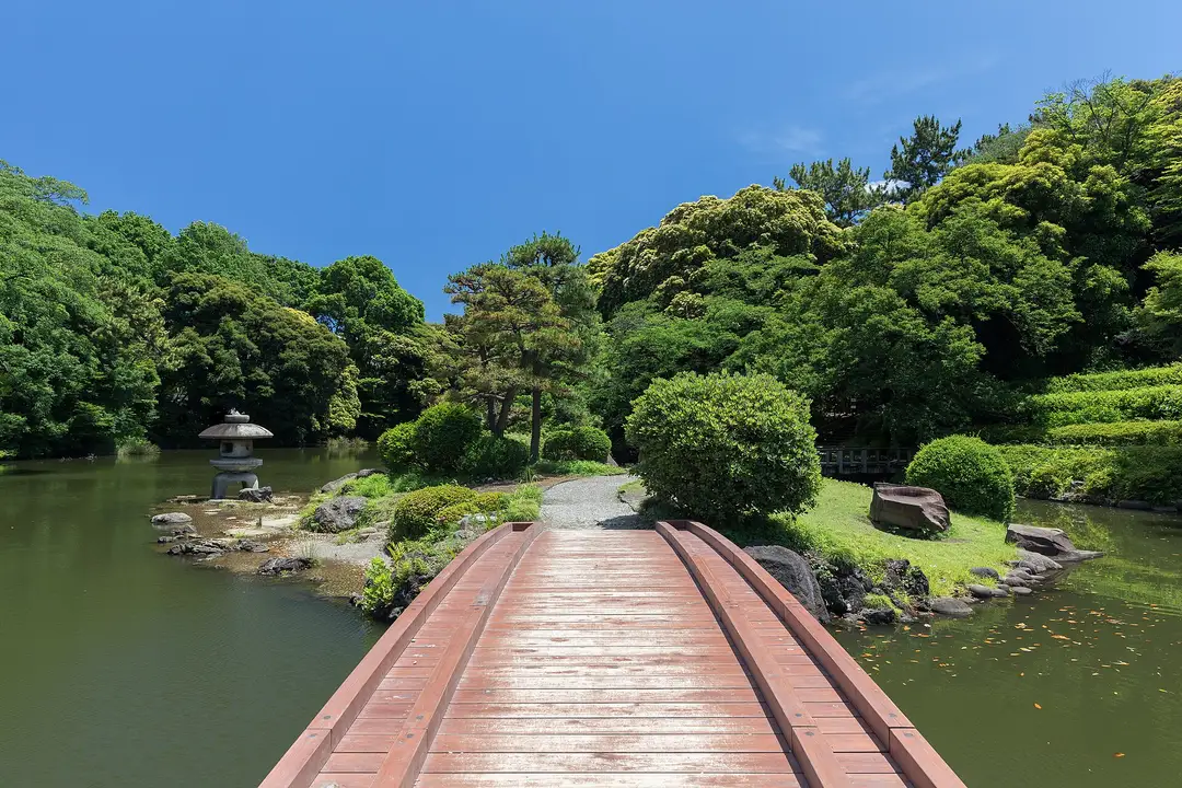 A wooden footbridge over the pond in Shinjuku Gyoen National Garden, Tokyo