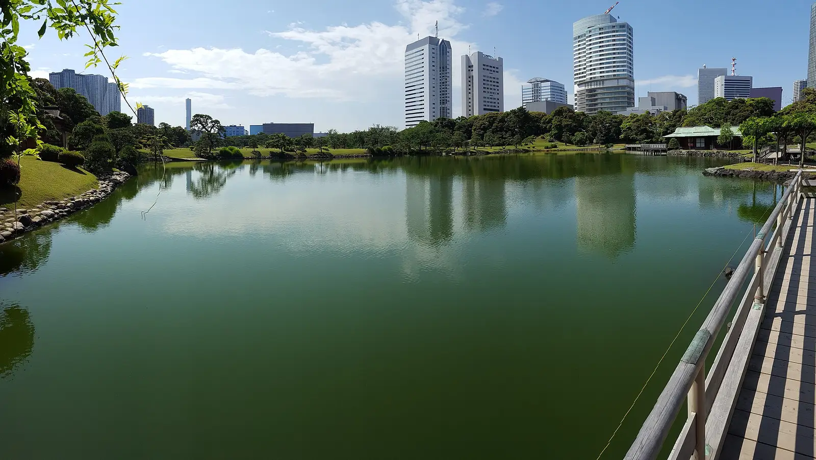 The tidal pond of Hama-rikyu Gardens with the Shiodome towers rising behind the trees, Tokyo